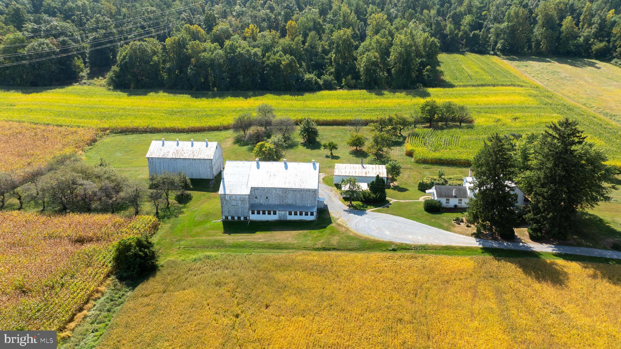 NONE AVAILABLE - Farm