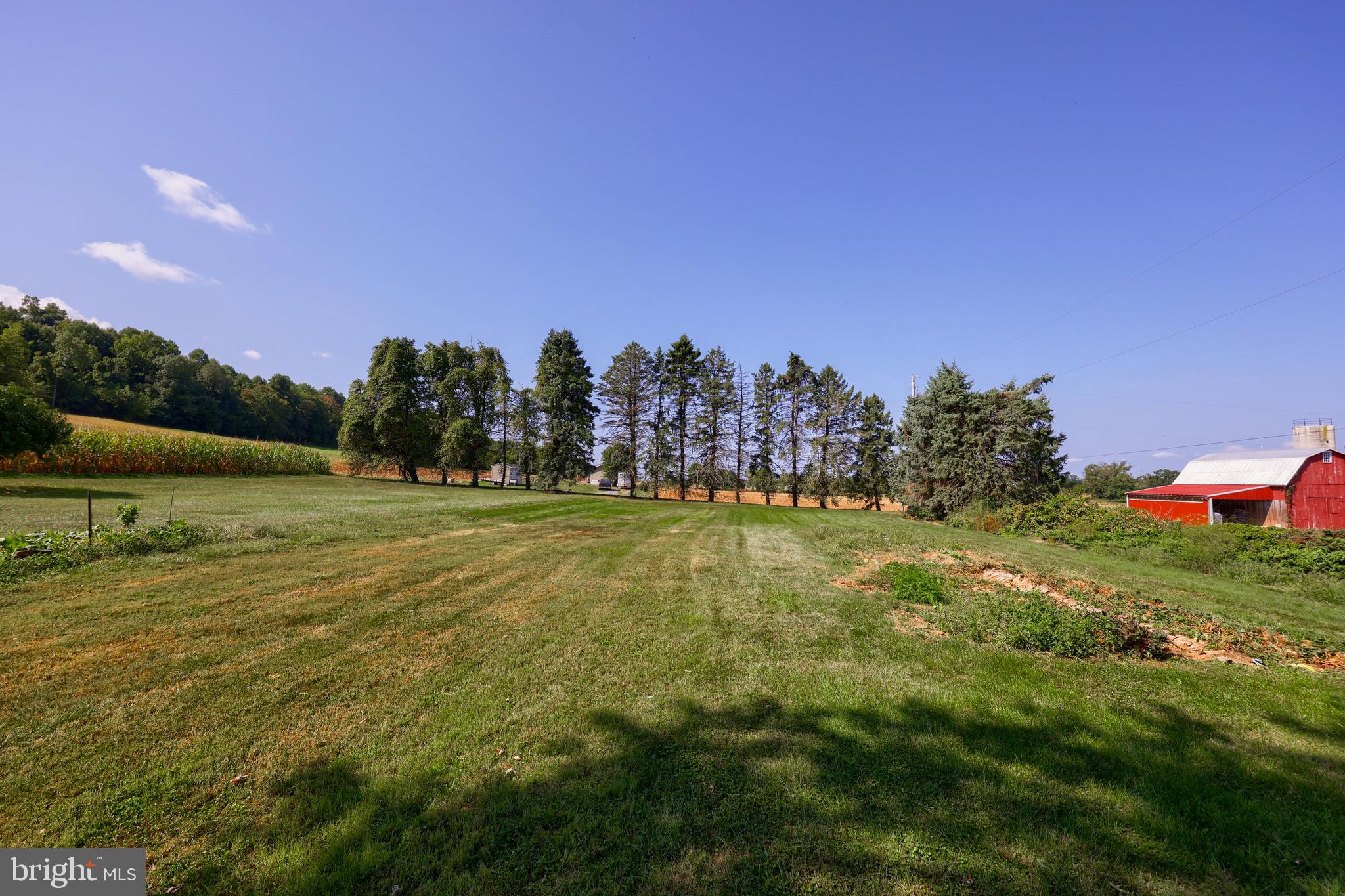 NONE AVAILABLE - Farm