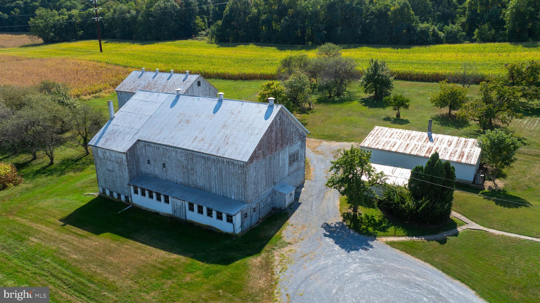 NONE AVAILABLE - Farm