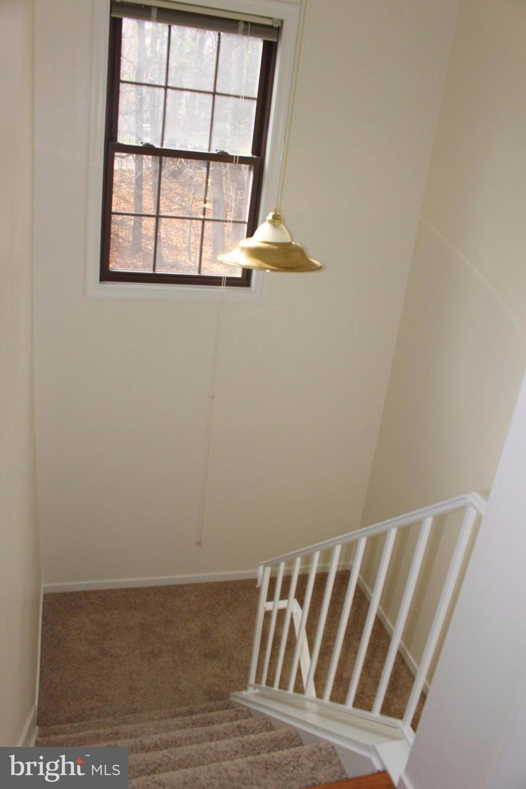 CARDINAL GLEN - Residential Lease