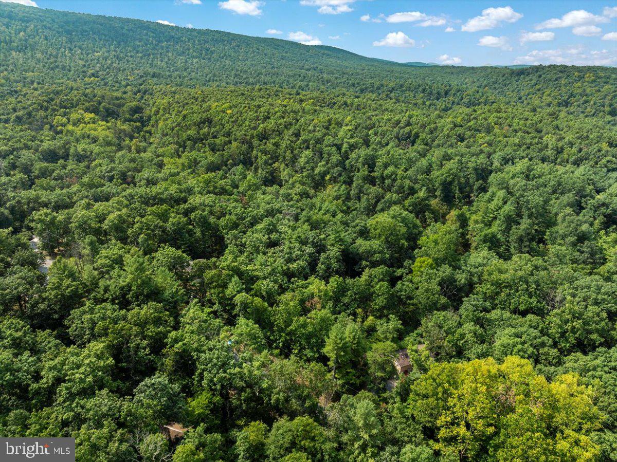 GLENWOOD FOREST - Residential