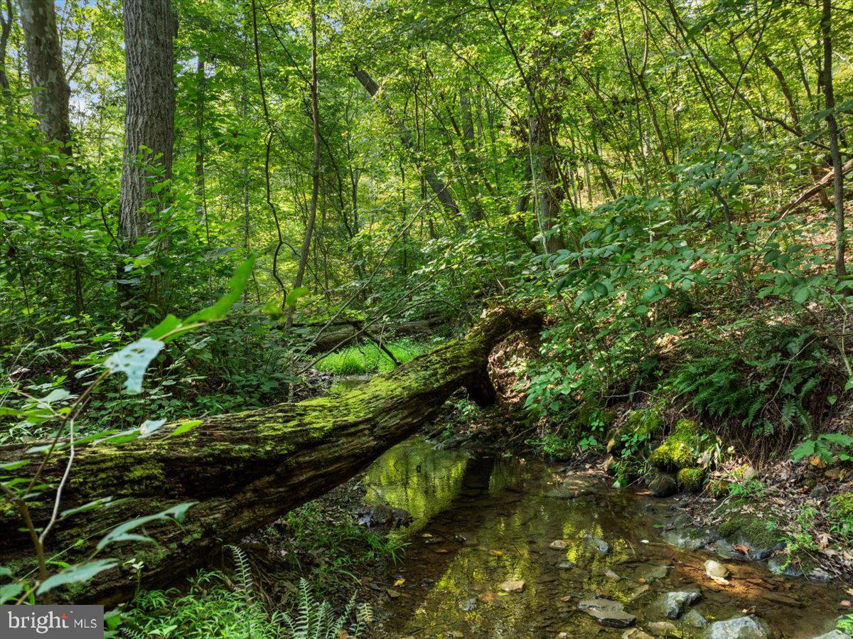 GLENWOOD FOREST - Residential