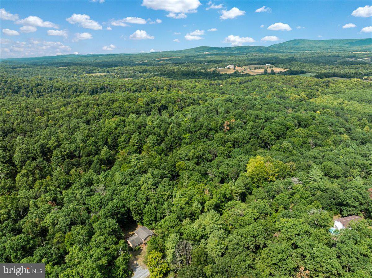 GLENWOOD FOREST - Residential