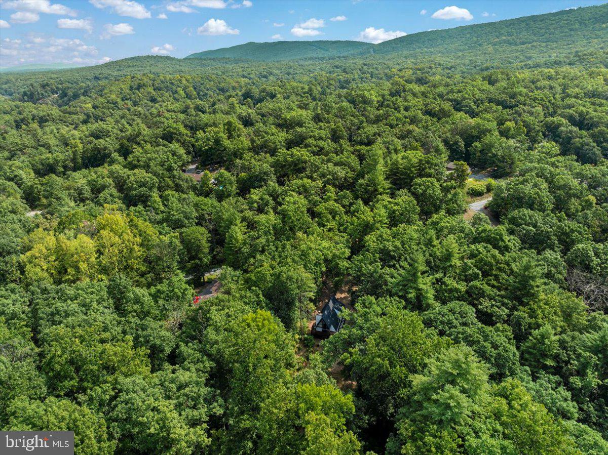 GLENWOOD FOREST - Residential