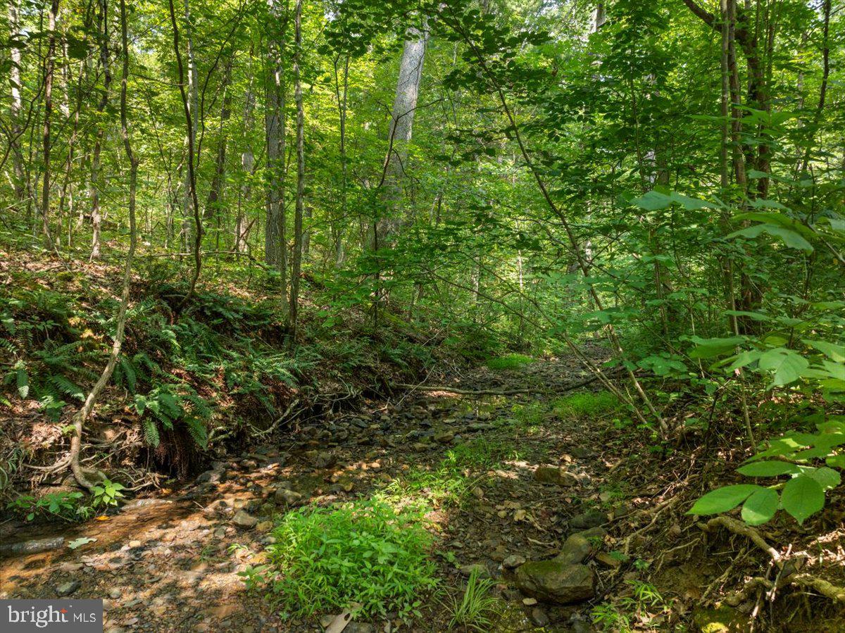 GLENWOOD FOREST - Residential