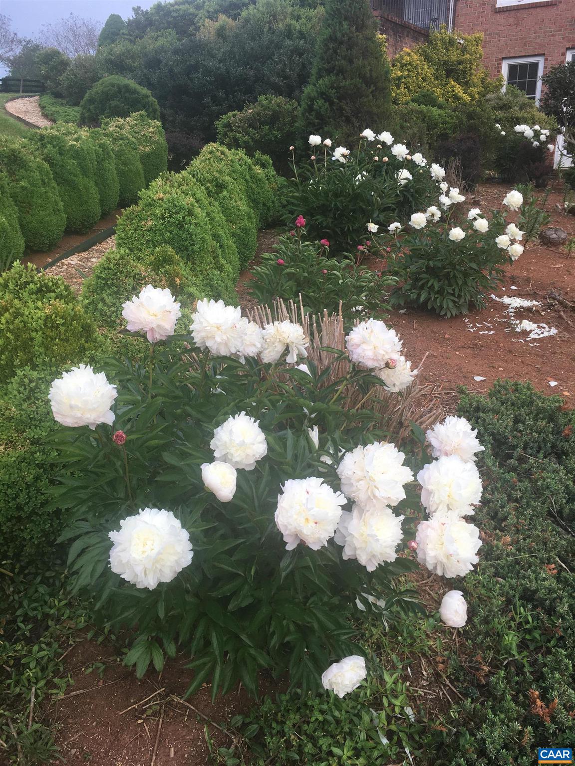 THE ROCKS - Residential