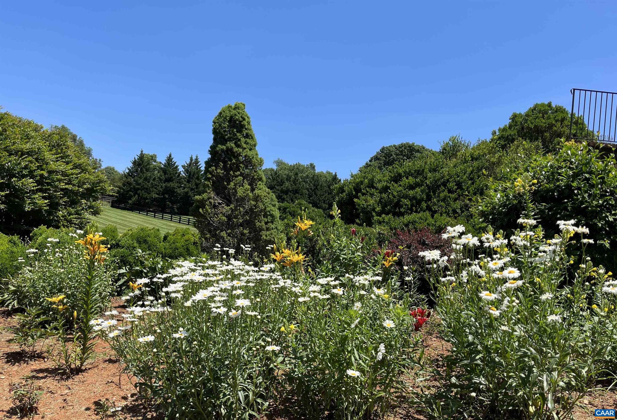 THE ROCKS - Residential