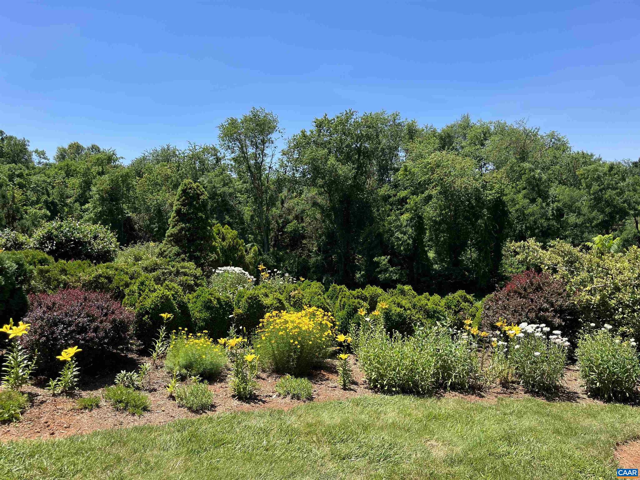 THE ROCKS - Residential