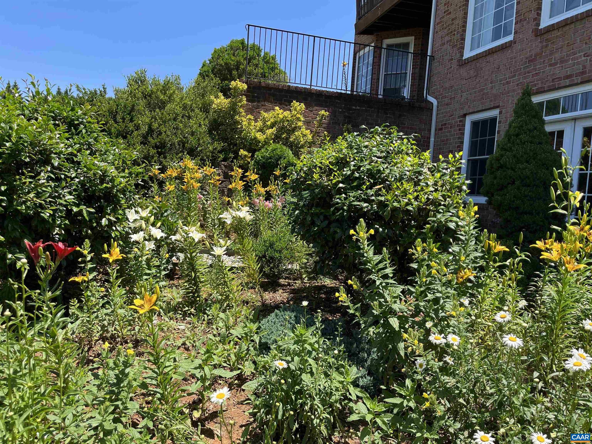 THE ROCKS - Residential