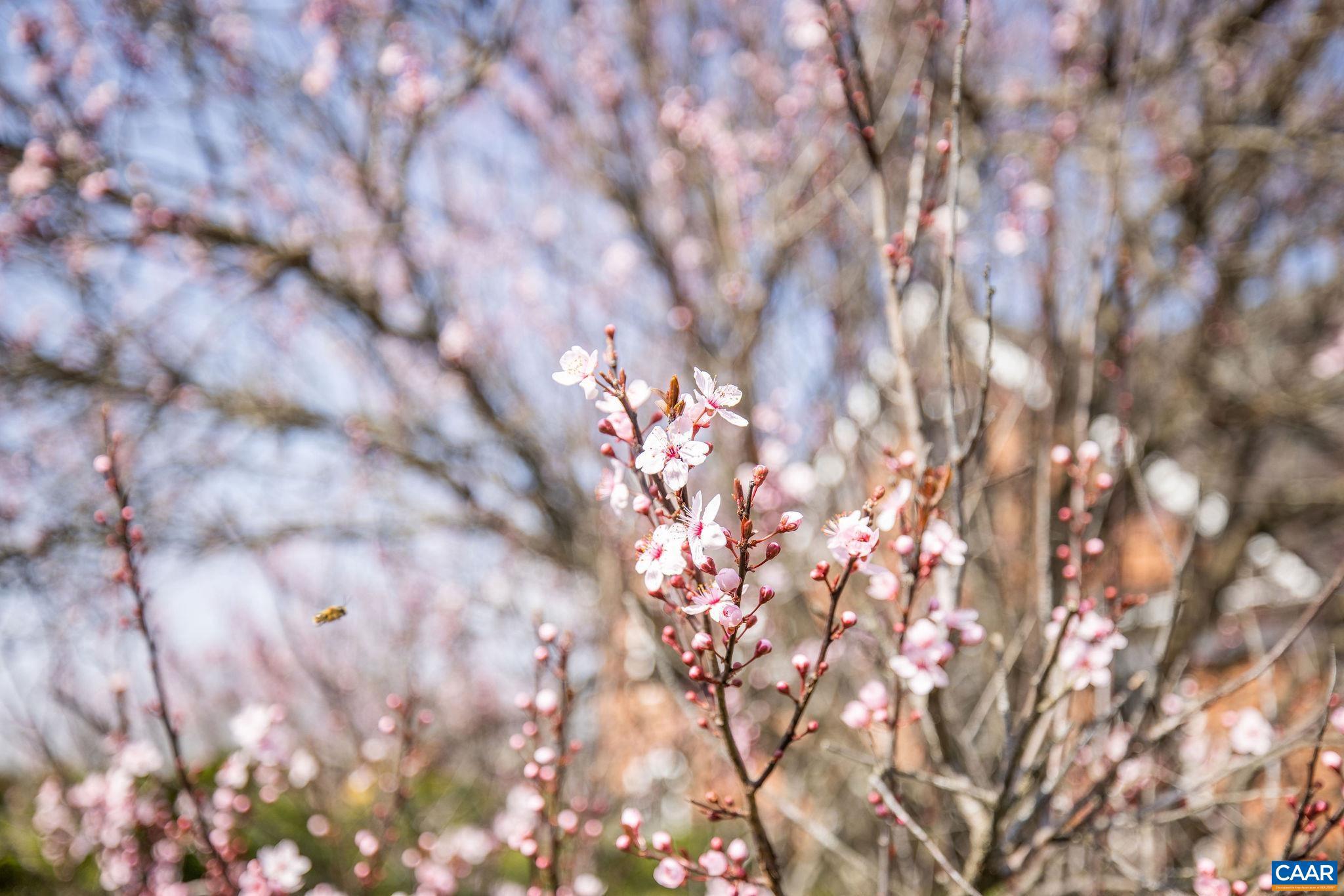 THE ROCKS - Residential