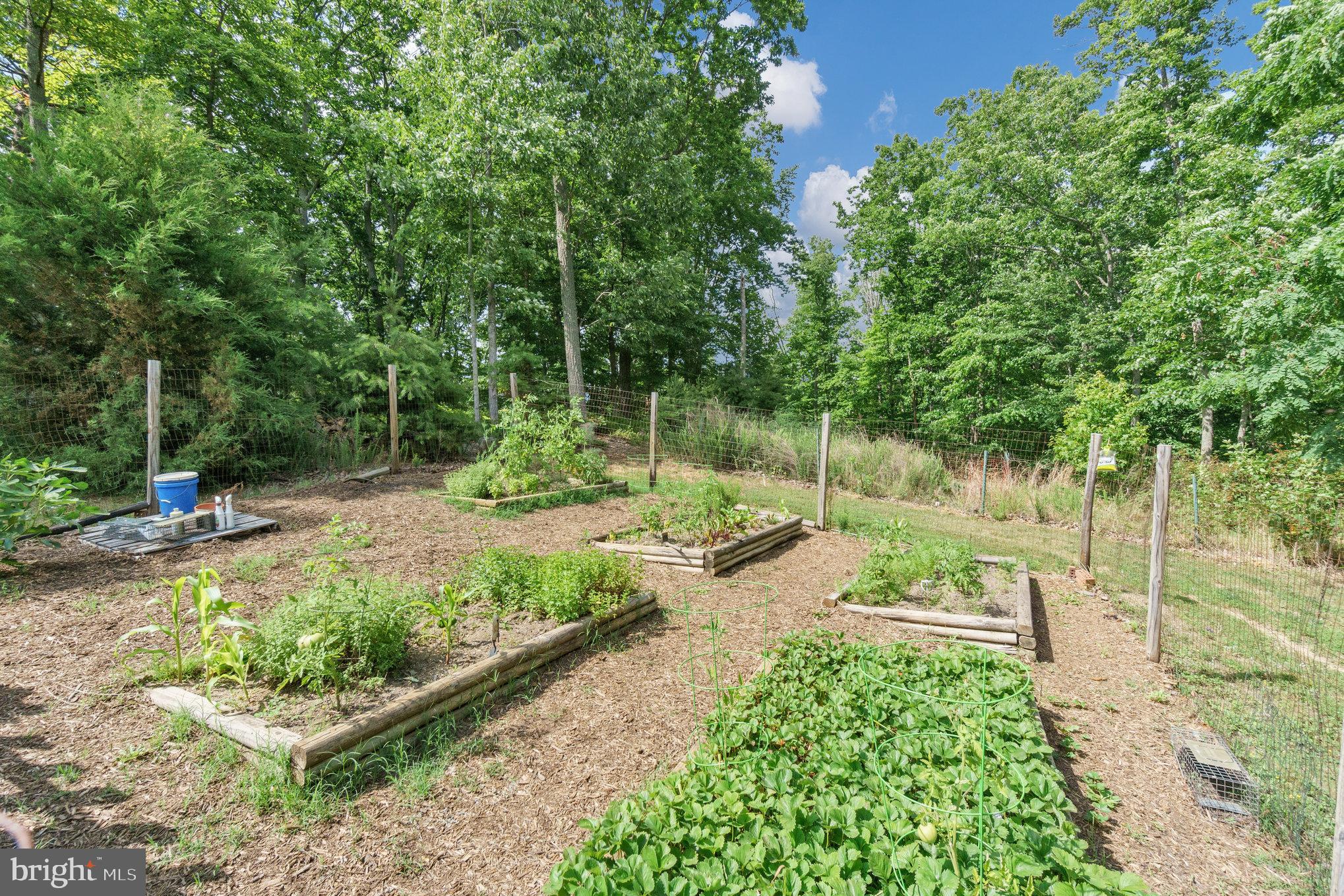 POPLAR HILLS - Residential