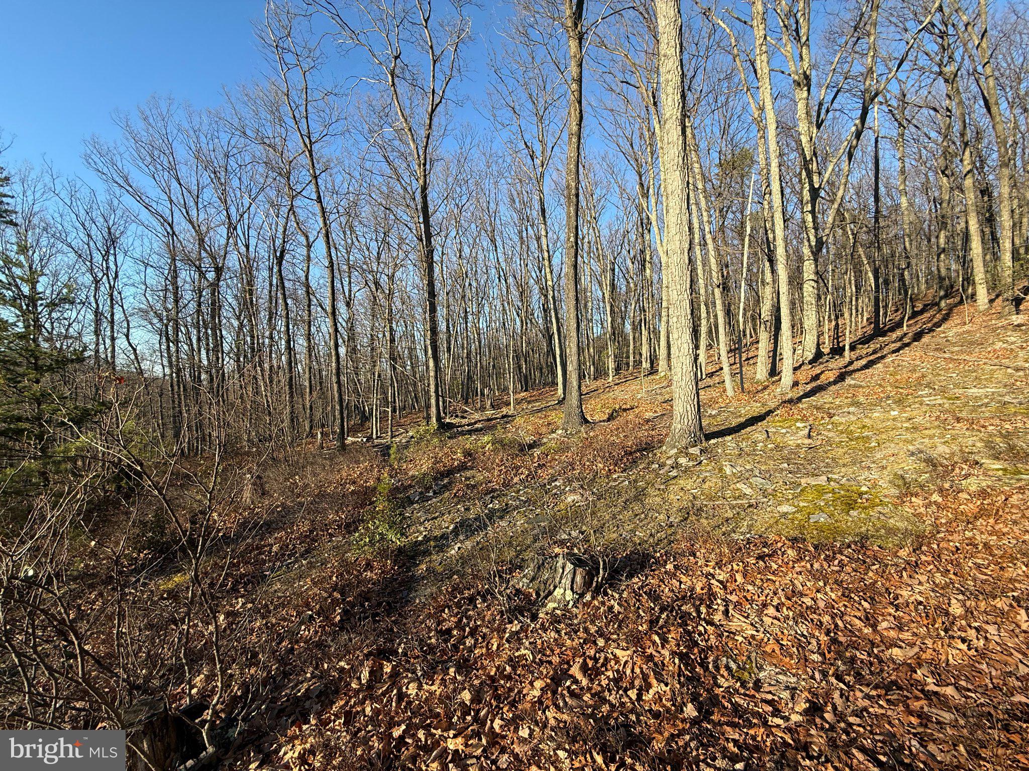 ELKHORN - Residential