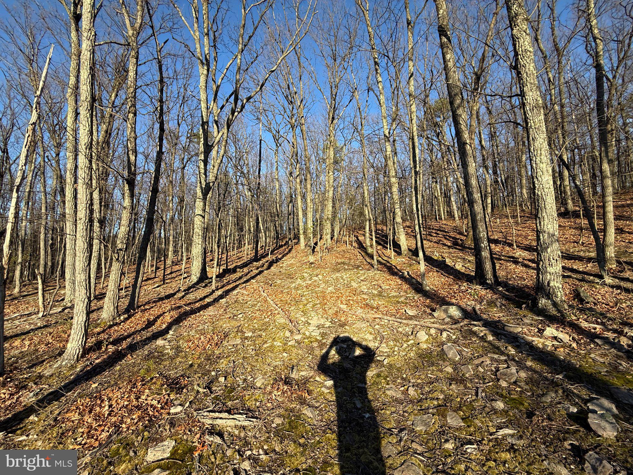 ELKHORN - Residential