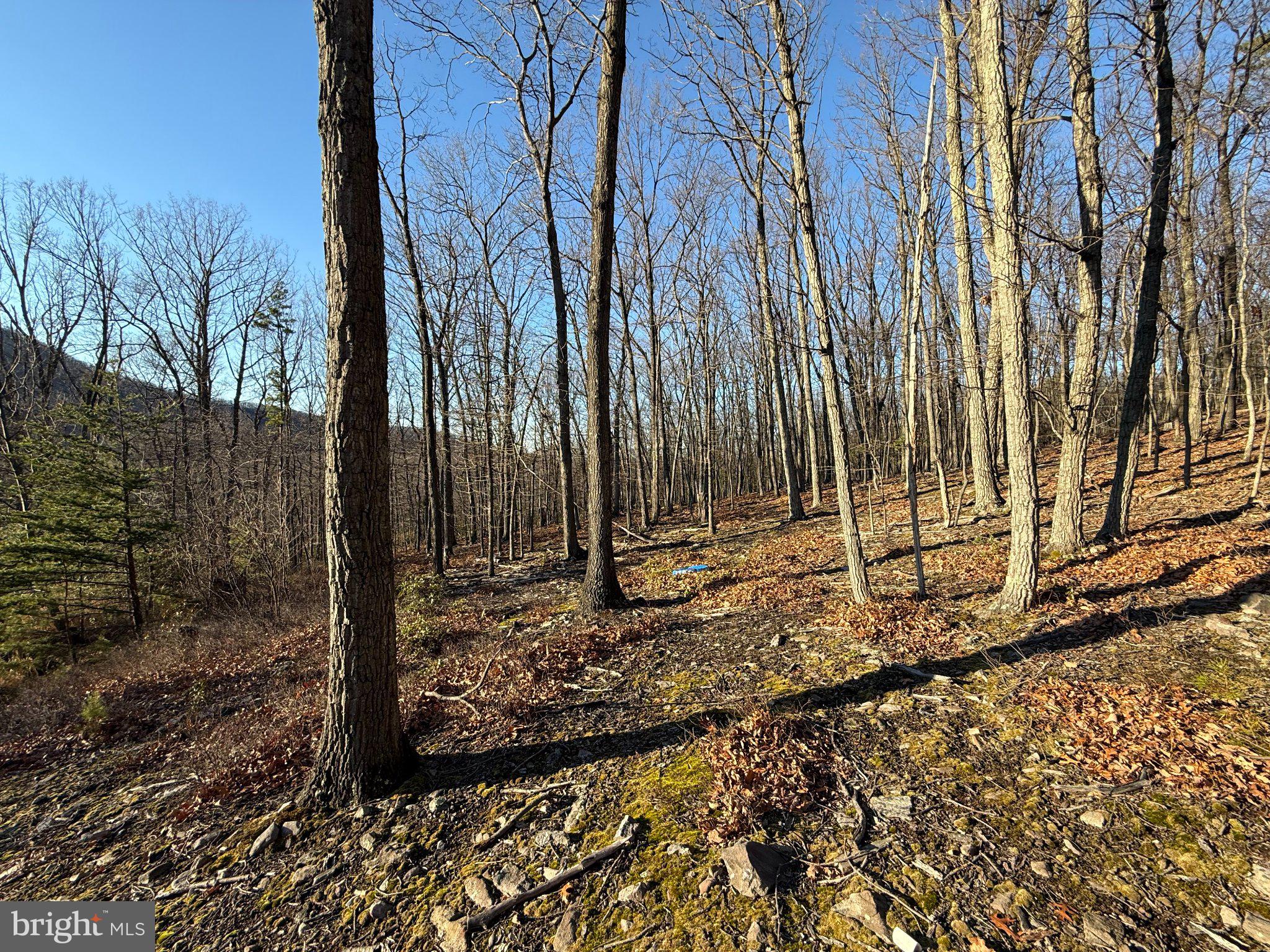 ELKHORN - Residential