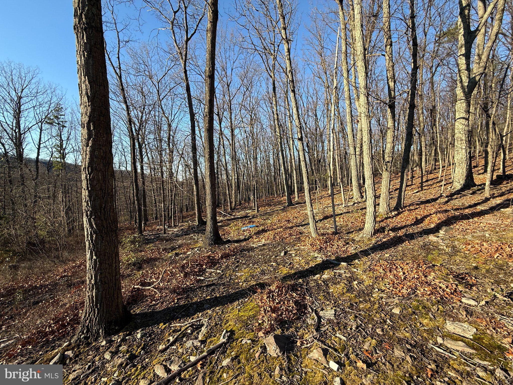 ELKHORN - Residential