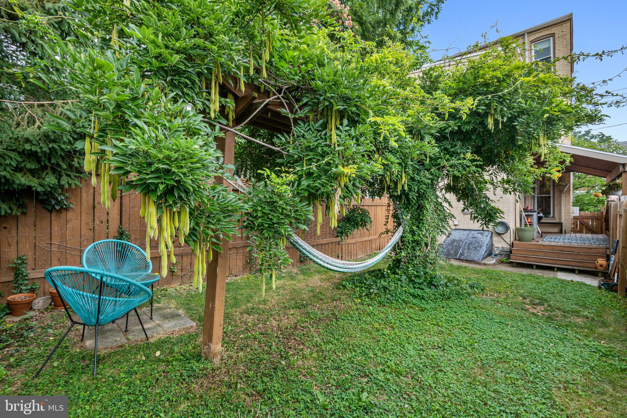 CHESTNUT HILL - Residential