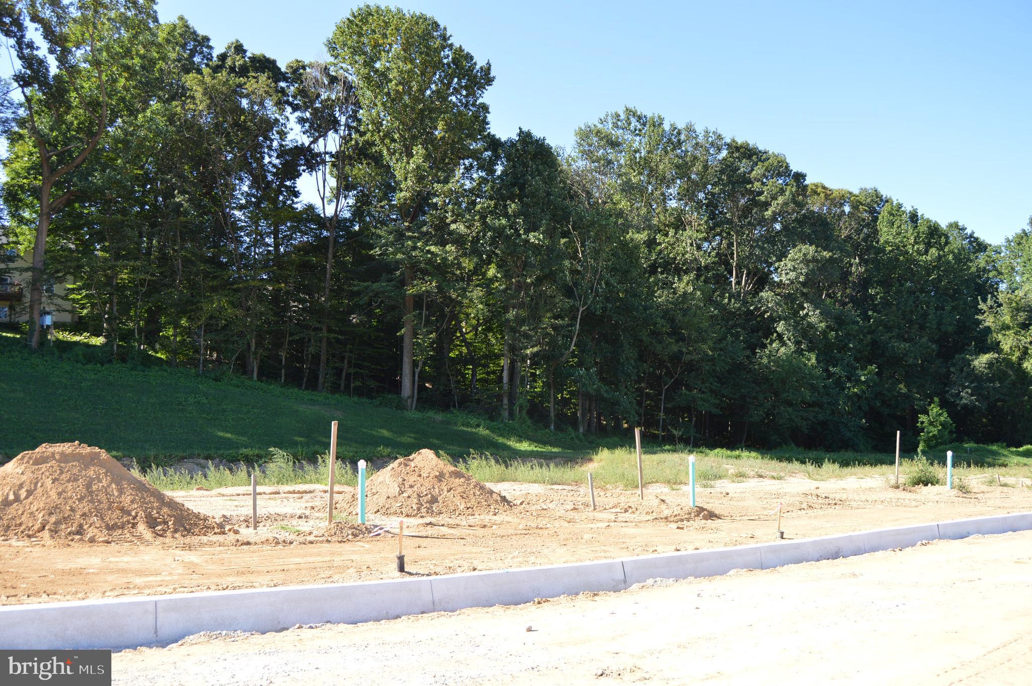 COPPERLEAF RIDGE - Residential