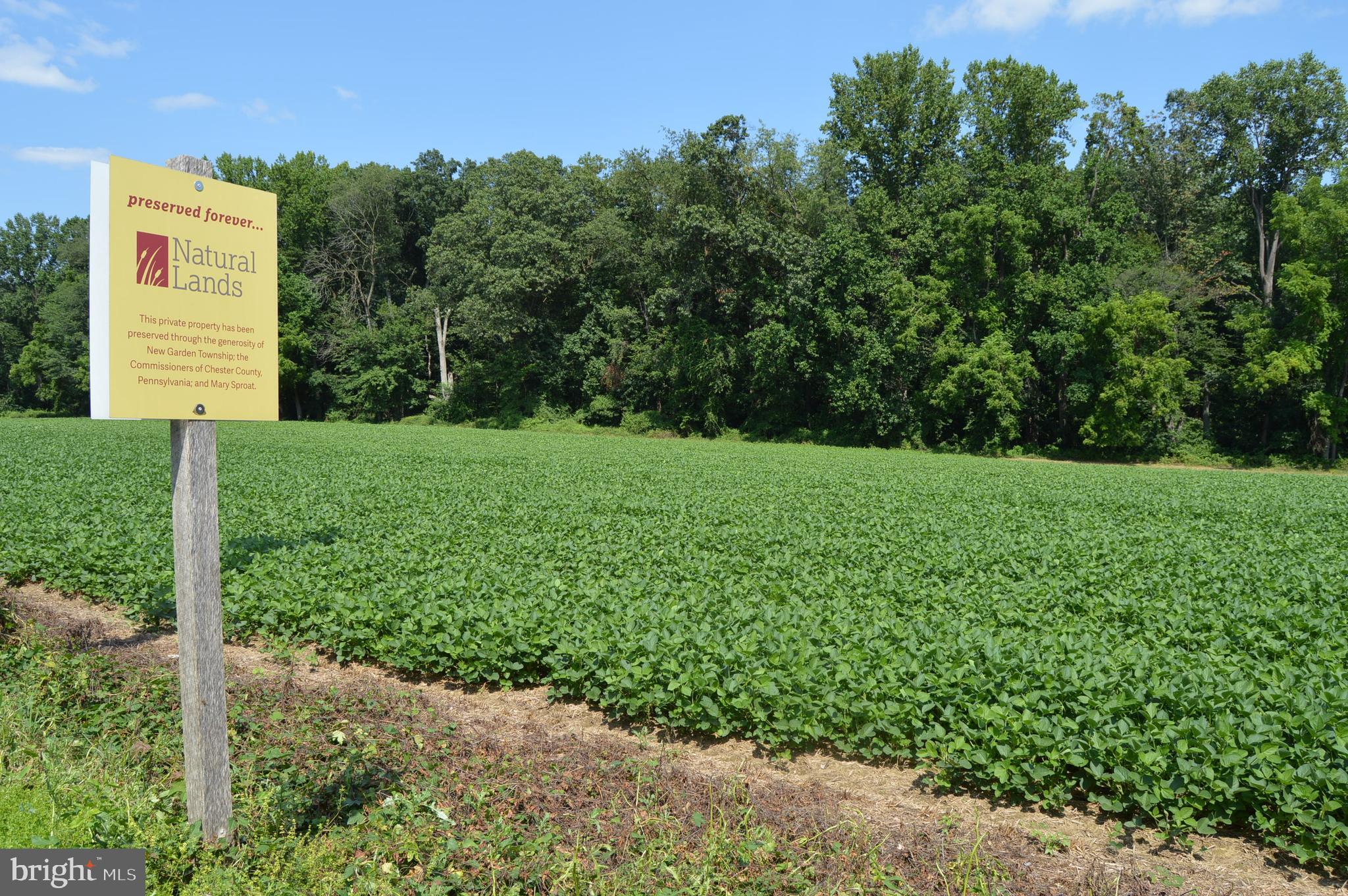 COPPERLEAF RIDGE - Residential