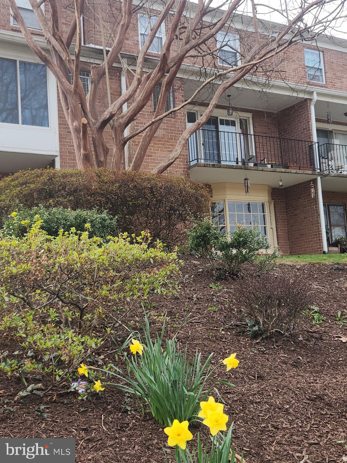 CHARLESTOWNE VILLAGE - Residential