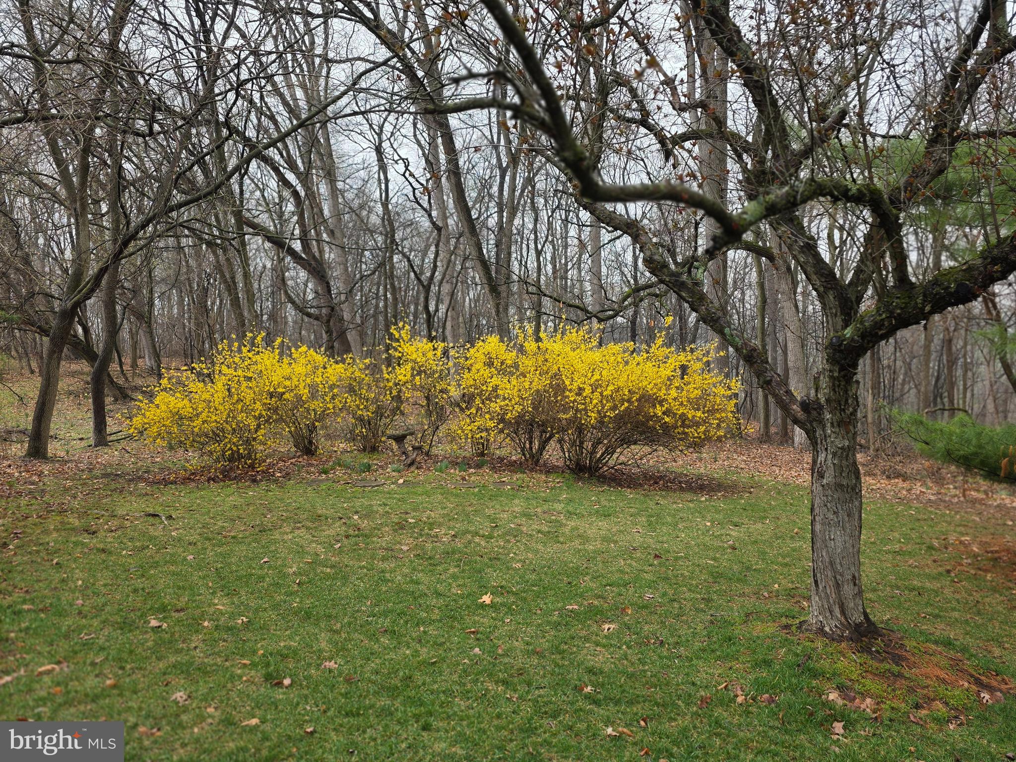 HILLYMEDE - Residential
