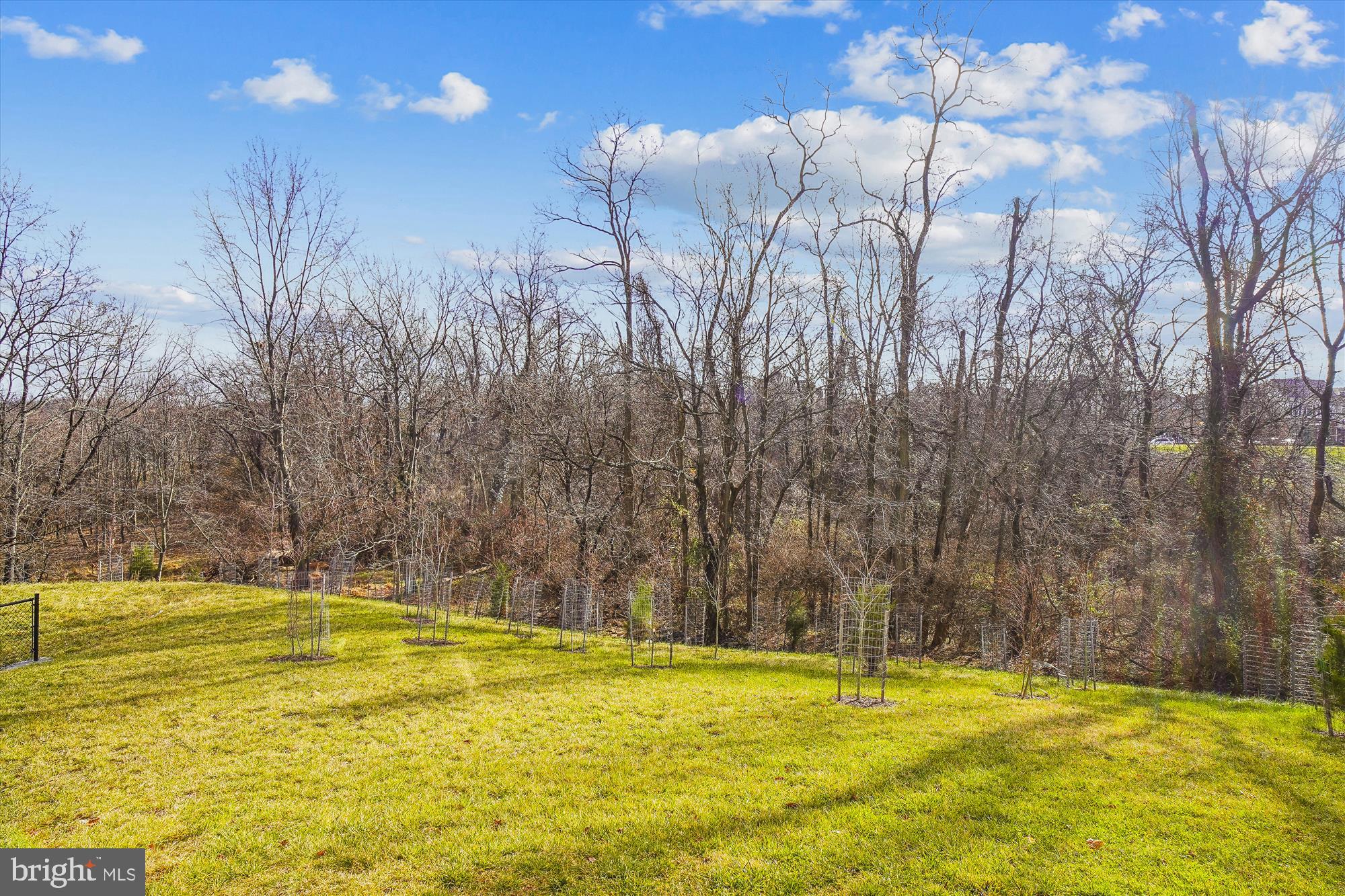 CLARKSBURG TOWN CENTER - Residential
