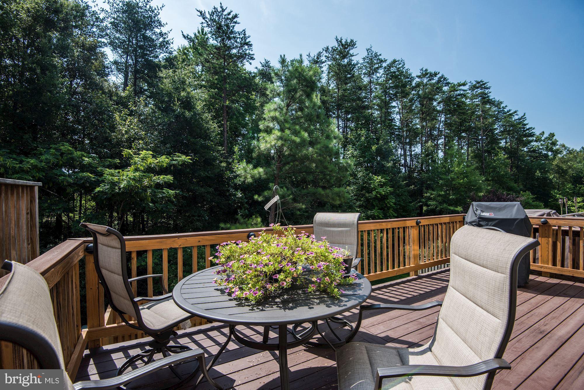 LITTLE ROCKY RUN - Residential