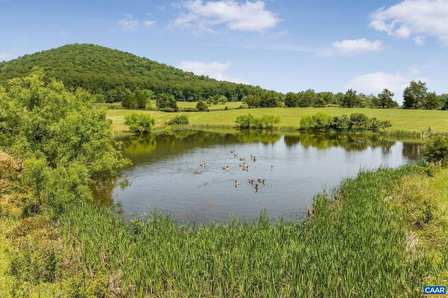 Welcome to a truly spectacular and protected setting in the heart of Free Union, offering unmatched privacy, spring fed pond year-round panoramic views, and bright star-filled night skies. From the moment you turn onto Buck Mountain Road, driving past the surrounding farms, passing horseback riders, gently rolling hills, and conservation land all around. This exceptional 23.00-acre property is situated in the highly sought-after Free Union and Farmington Hunt Country area adjacent. The land features long road frontage on both Catterton Road and Buck Mountain Ford Lane, providing flexible access and potential for various homesite orientations. The nearly level, open and gently topography offers spring-fed, stocked pond, sweeping views of Buck Mountain, the Southwest Mountains, and the surrounding countryside. Gently rolling pastures, ideal for equestrian use or private enjoyment. Perfect for a primary residence, country estate, or weekend retreat, one of our few remaining parcels combines tranquility, convenience, and simple beauty. Location ideal- Just minutes from Target, Harris Teeter, Charlottesville-Albemarle Airport, the essence of Charlottesville, this is truly Virginia countryside living at its best.