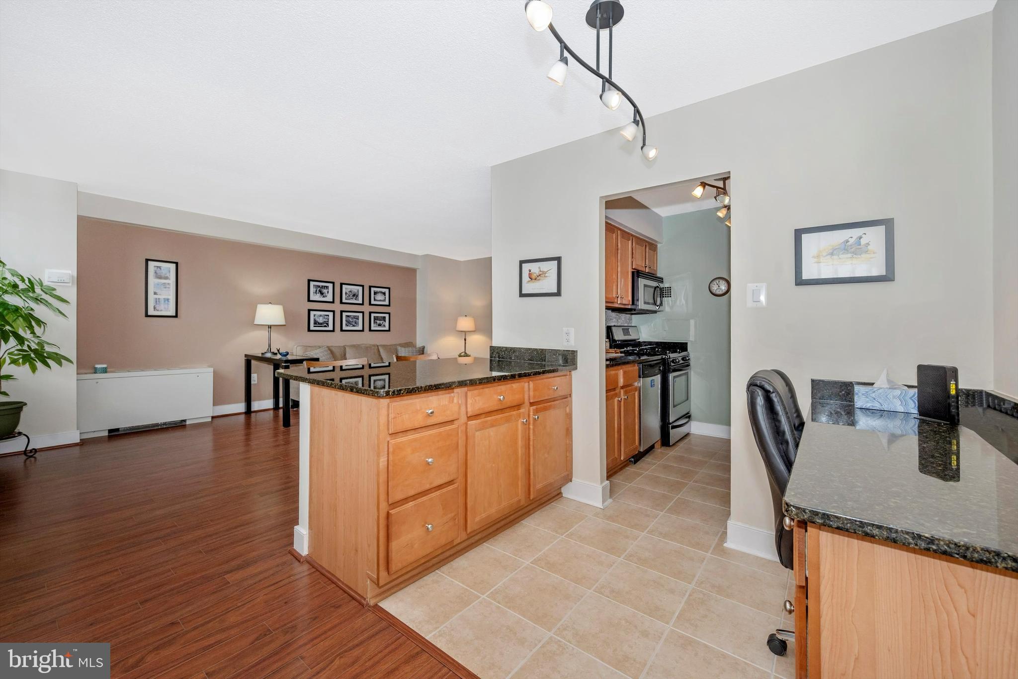 MICA AT SILVER SPRING METRO - Residential