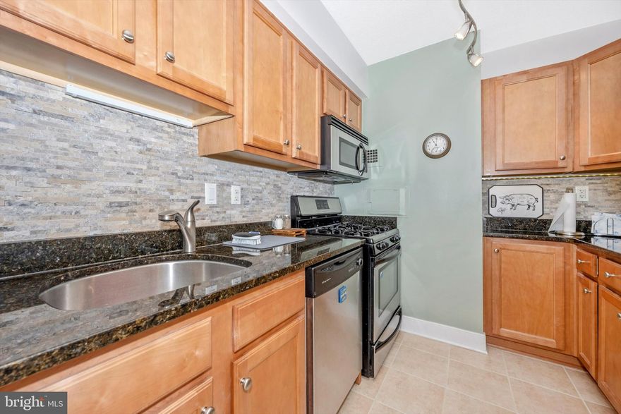 Spacious rare corner unit available!! Updated kitchen with SS Appliances, granite counters, plenty of cabinet space and a beautiful new stone backsplash.  Gorgeous hard wood floors, built in desk just steps from the balcony with an amazing view of downtown.  New carpet in the bedroom and custom wood shelves built into the walk in closet.  Utilities  are covered in your monthly condo fees. Once you enter the modernized lobby you will find the building offers a movie theatre, pool table, fitness center and outdoor pool. Walking distance to the grocery store, theatre, parks and the metro. Truly upscale living!! Call your favorite realtor for a tour.