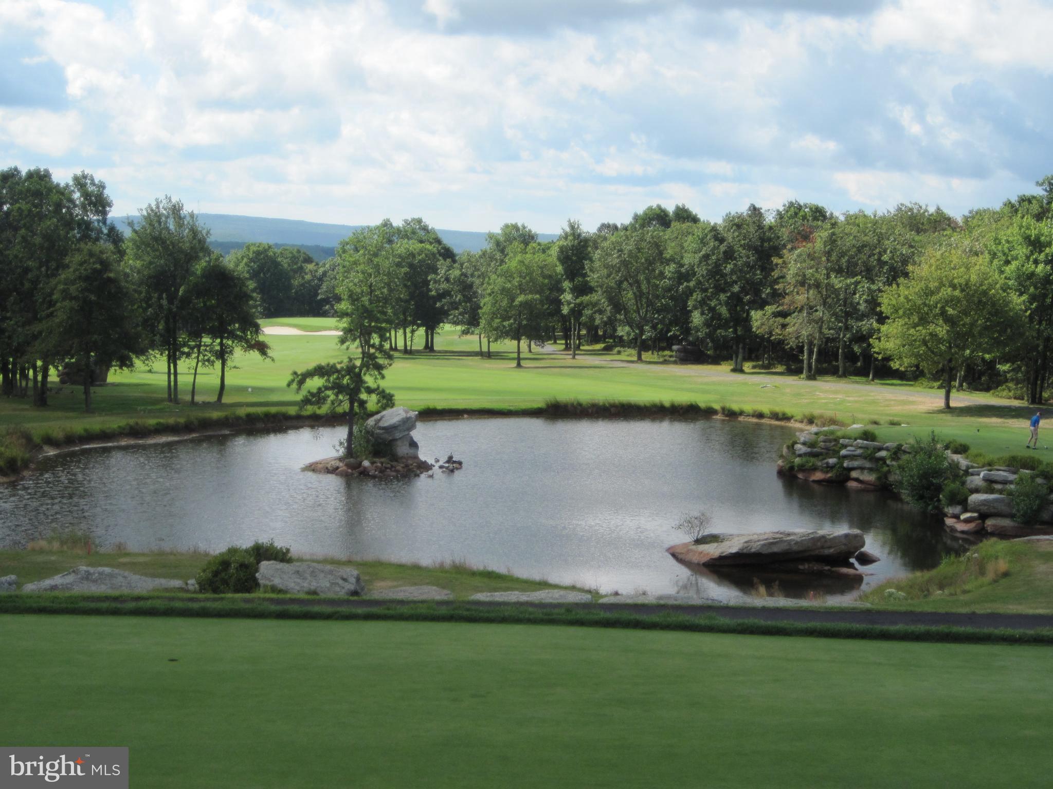 ERII-429 CROOKED STICK LANE