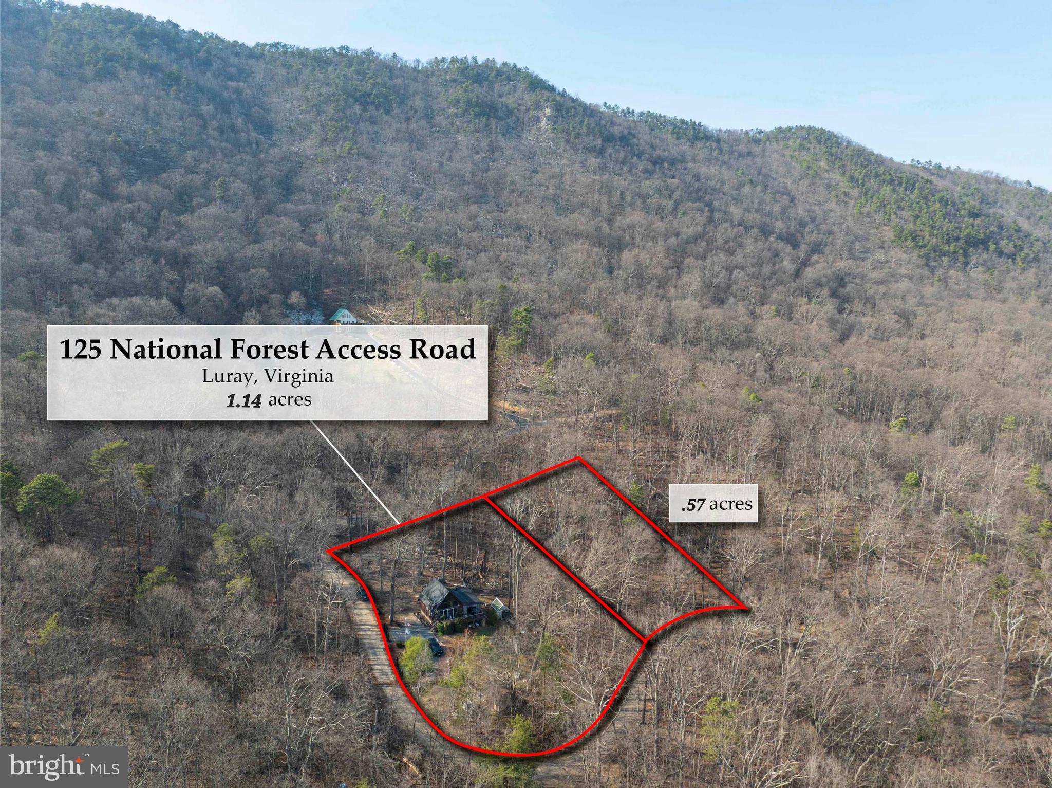 SHENANDOAH FOREST - Residential