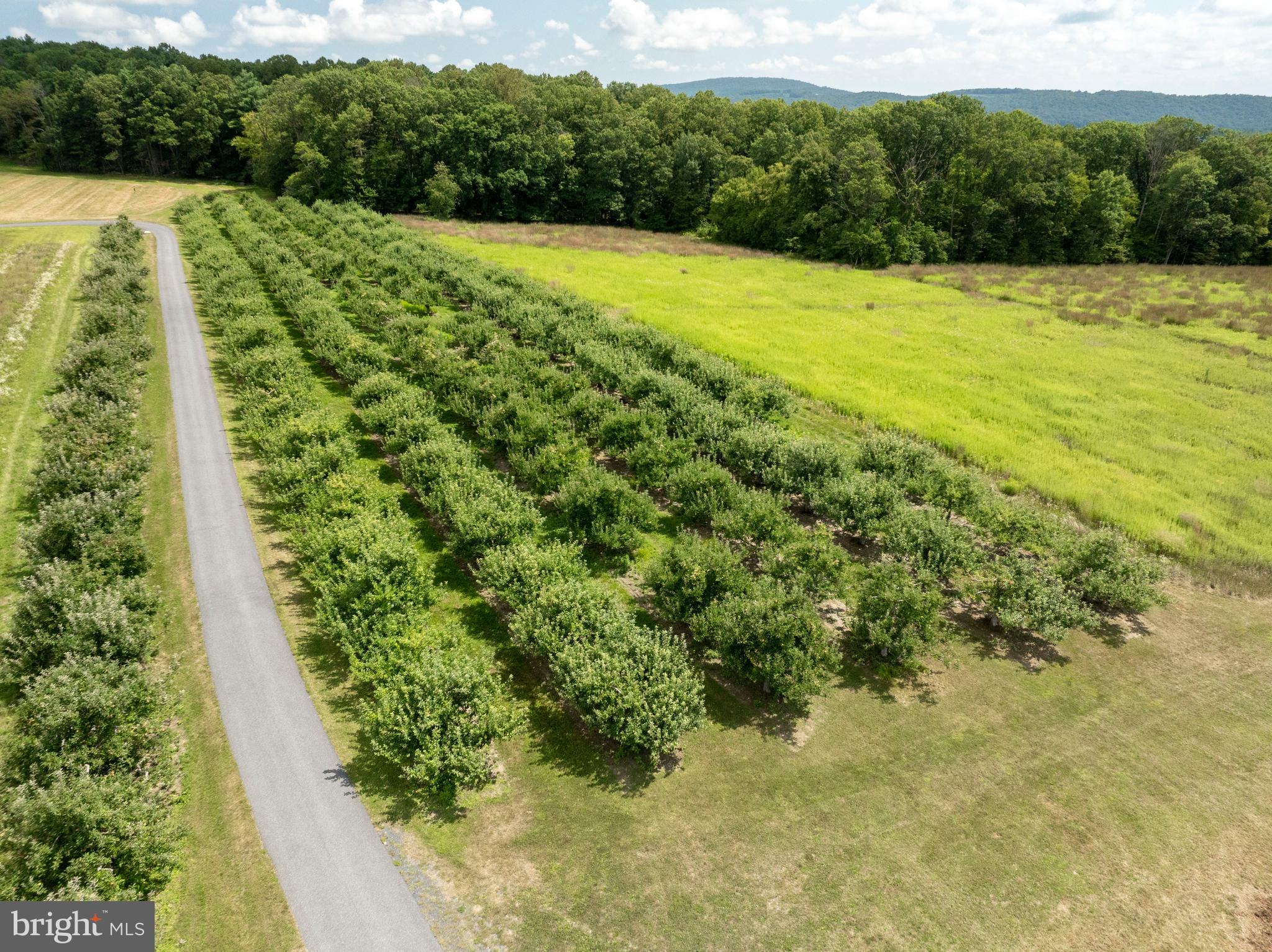 NONE AVAILABLE - Farm