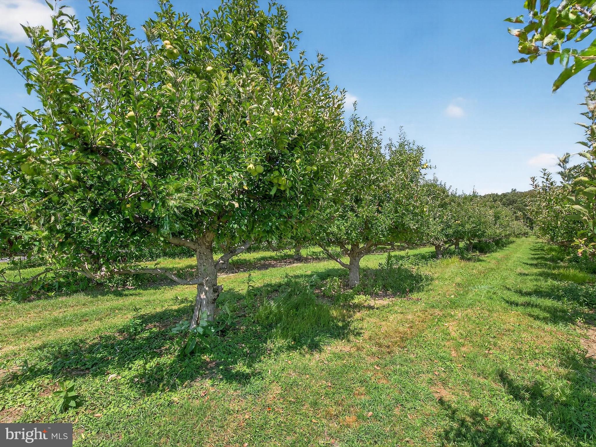 NONE AVAILABLE - Farm