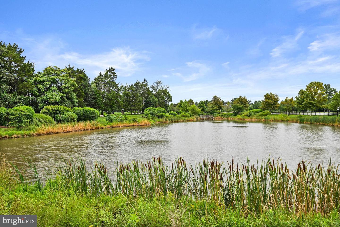 GREENS AT WILLOWSFORD - Residential