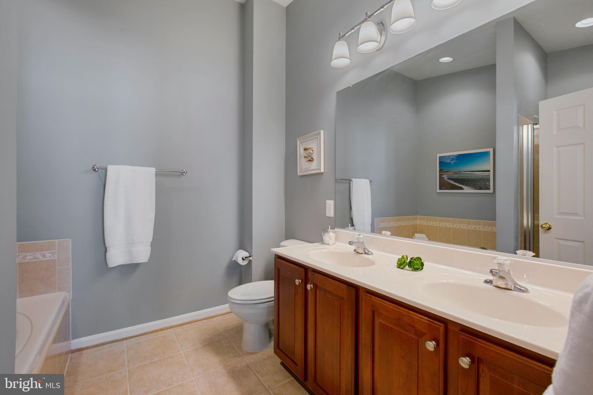 ALBEMARLE SQUARE - Residential