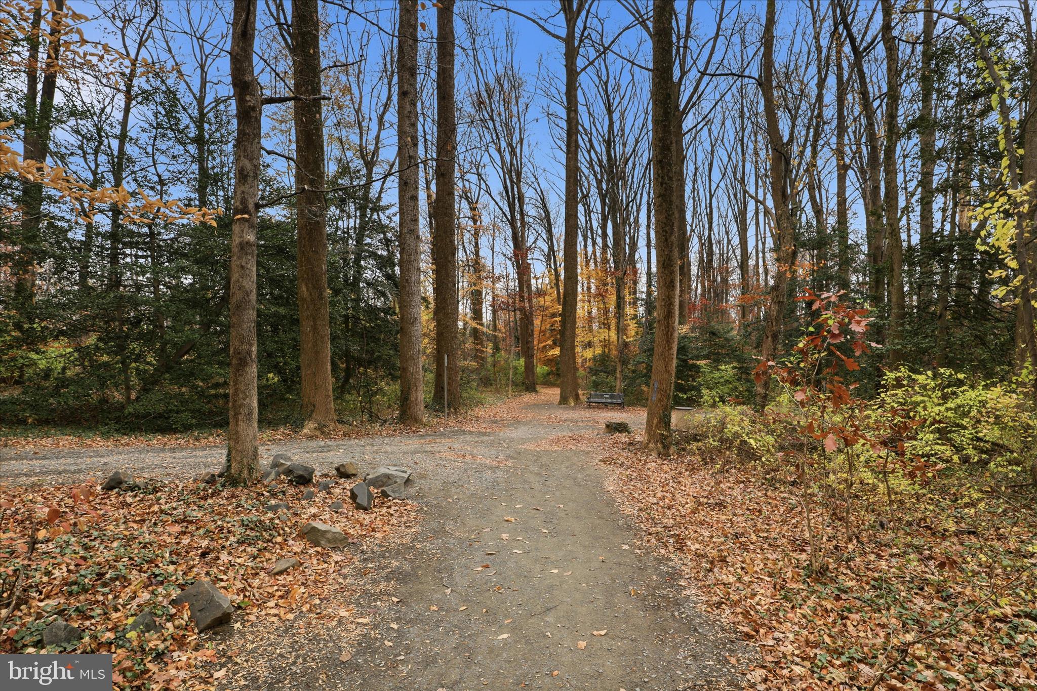 FAIRFAX WEST CONDOS - Residential