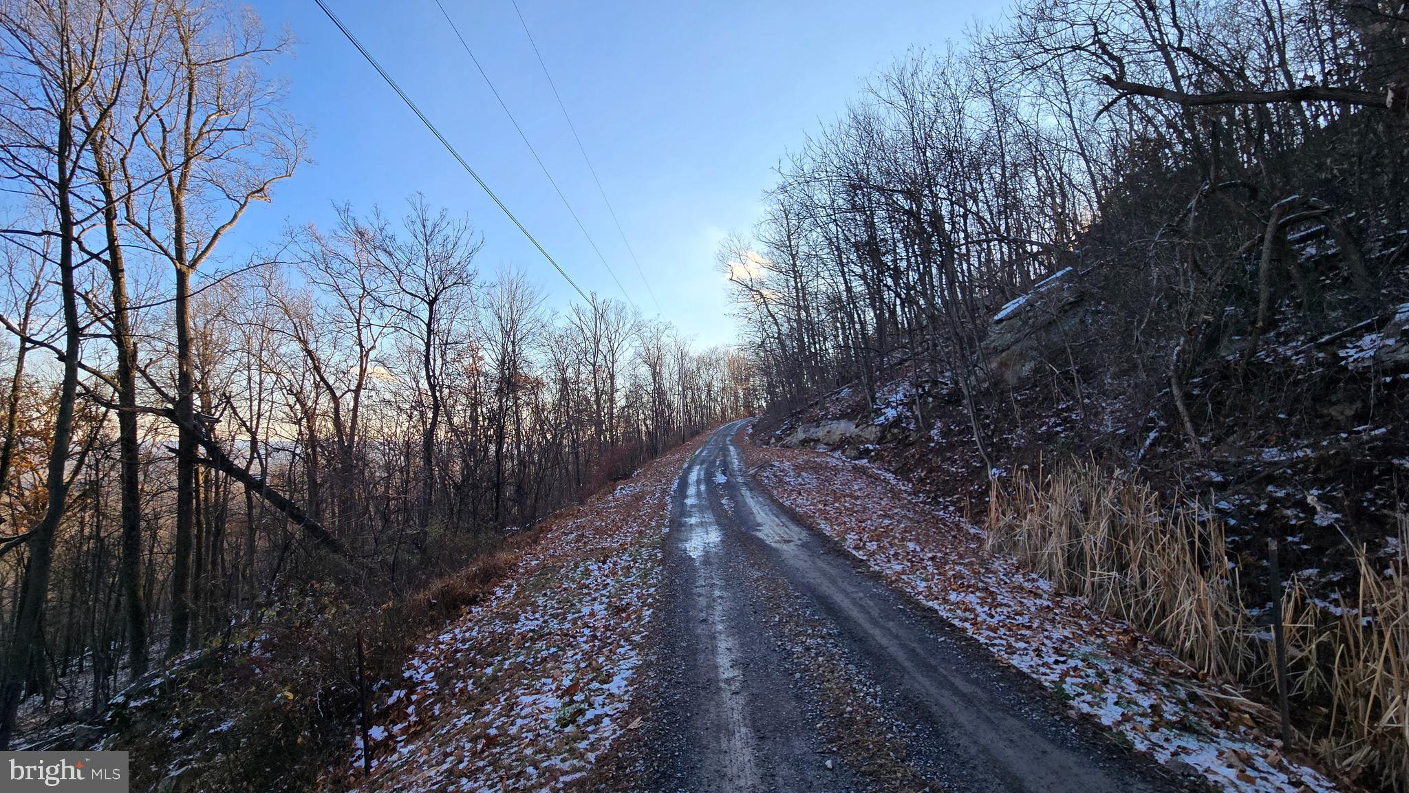 SPRUCE PINE HOLLOW - Land