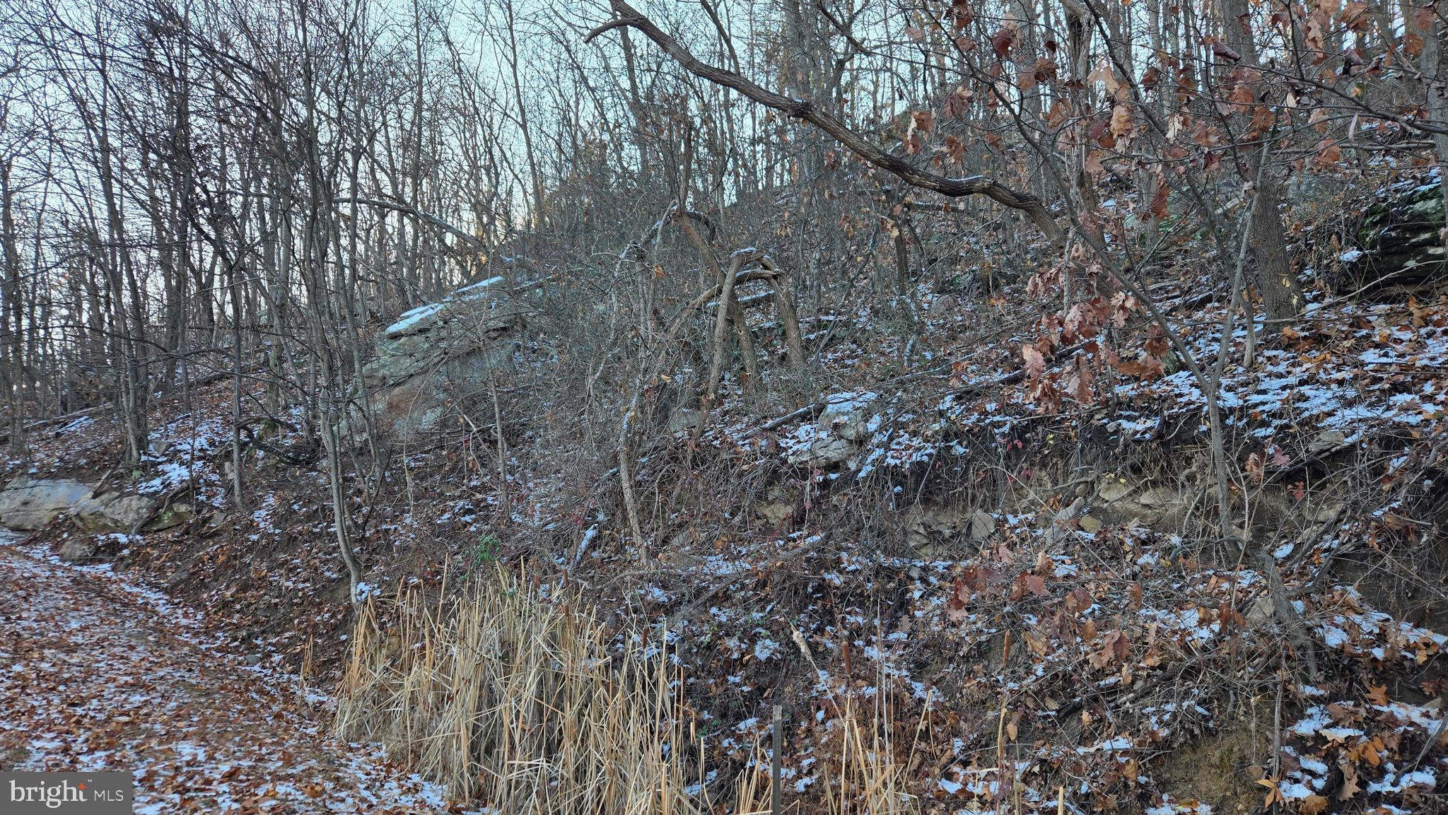 SPRUCE PINE HOLLOW - Land