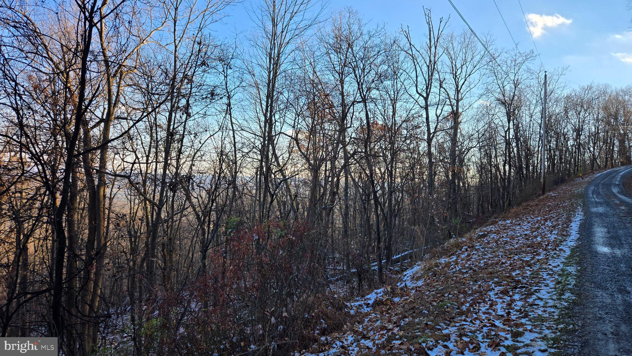 SPRUCE PINE HOLLOW - Land