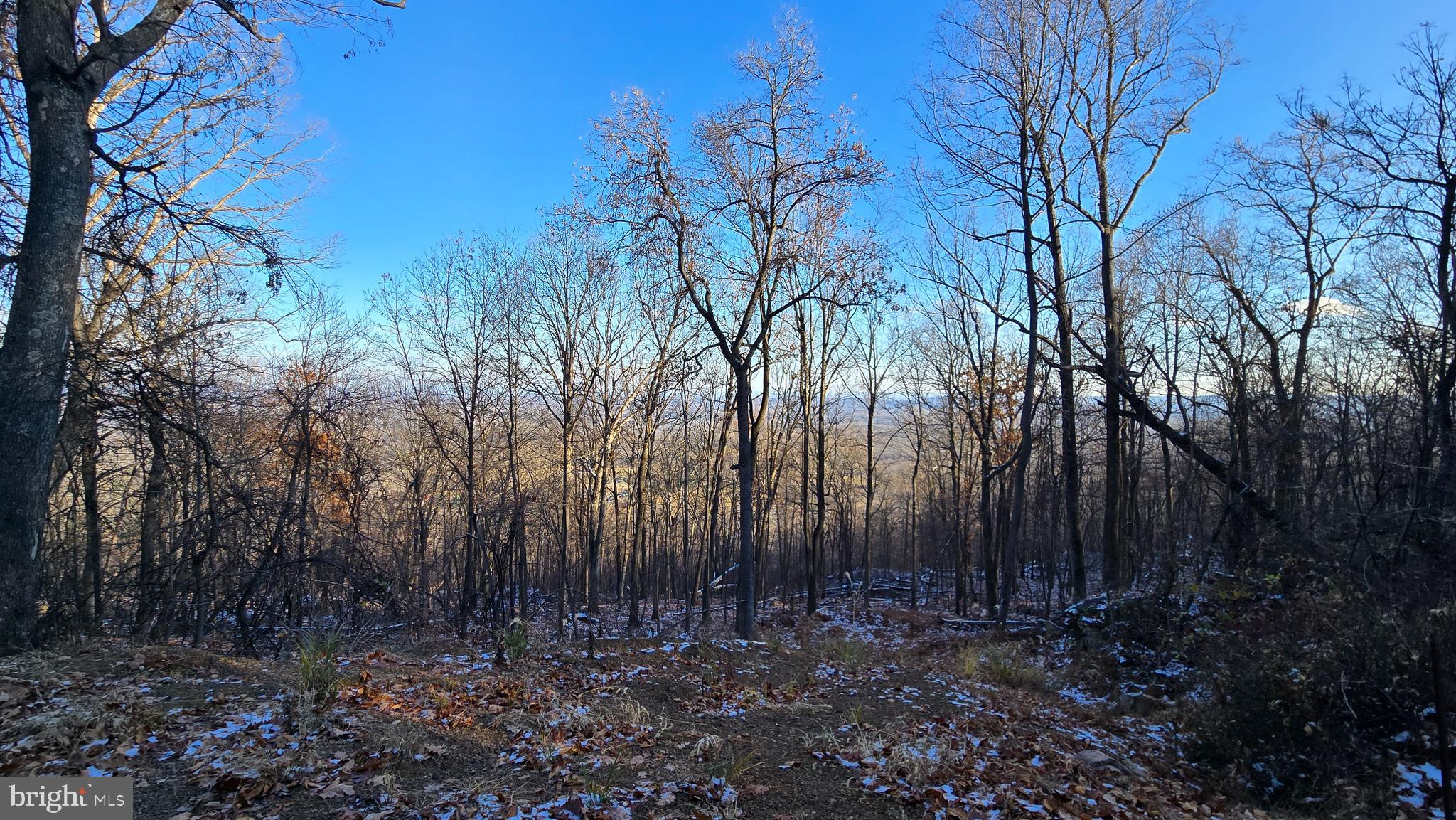 SPRUCE PINE HOLLOW - Land