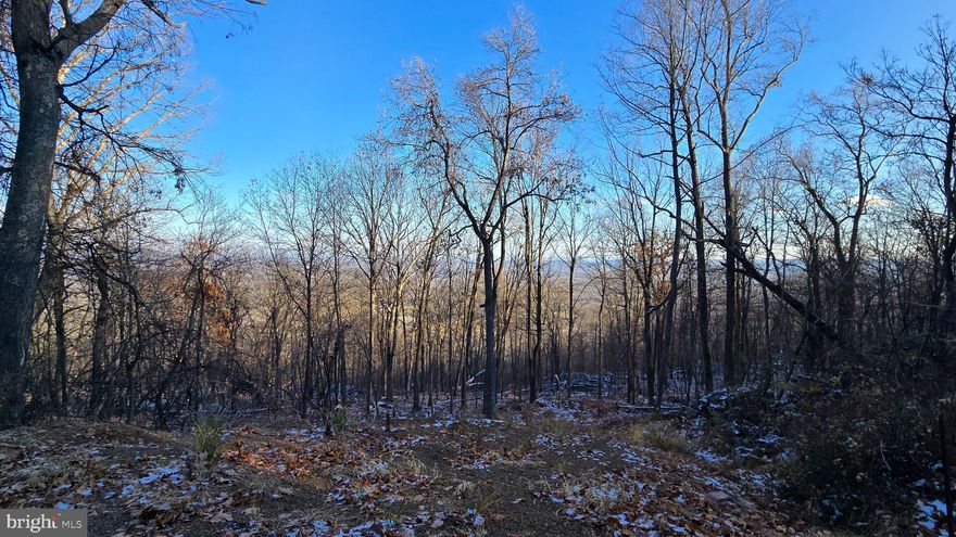 Looking for a mountain view homesite with room to breathe? This 5.15-acre Lot 5 in Spruce Pine Hollow sits high on the ridge above Sleepy Creek with a mix of sloped terrain and usable benches. Open the vista with selective clearing and your view can run for miles. Hunt, hike, or build your full-time home or getaway. A driveway entrance has been started near the neighbor’s drive. About 1.4 miles of community dirt/gravel road—SUV/4WD recommended.