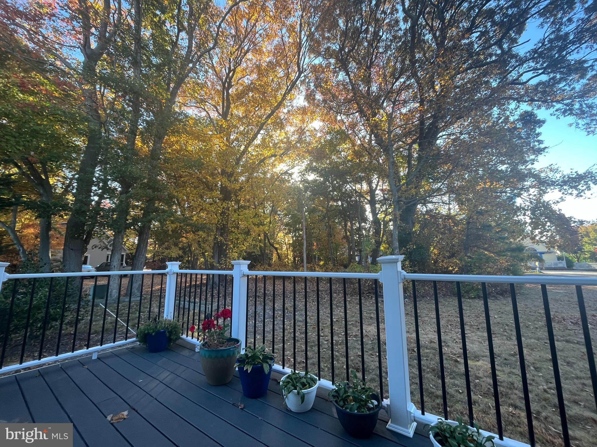 32818 VENTA DRIVE