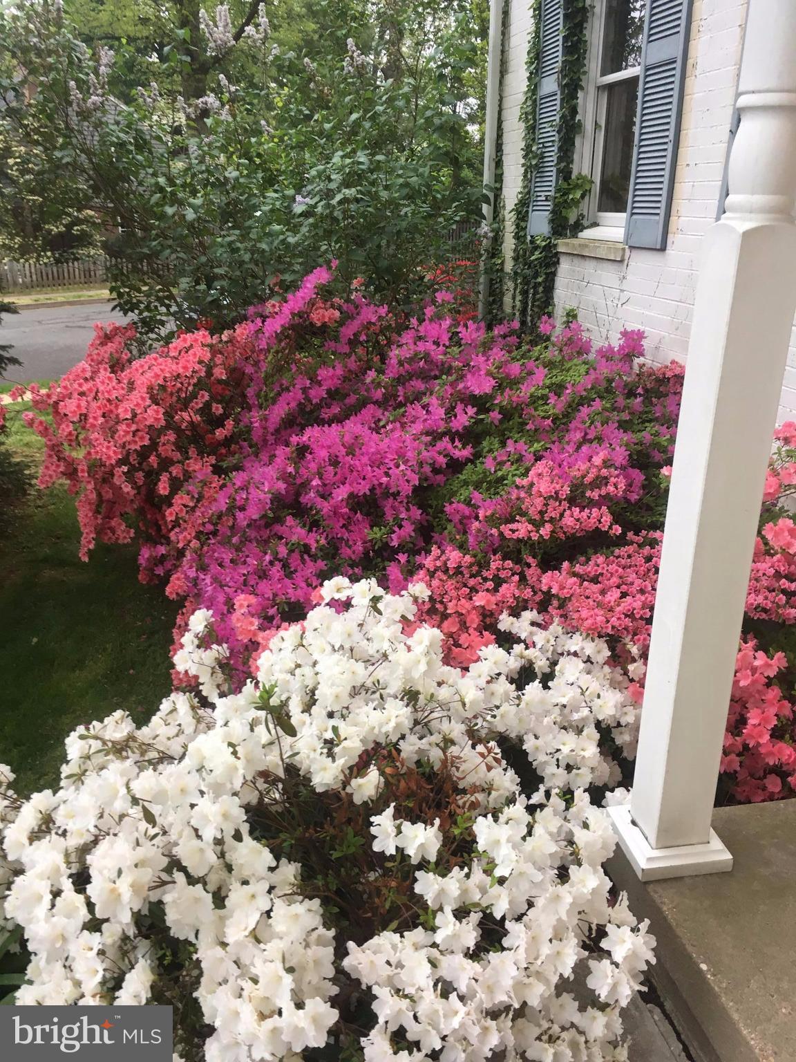 DOMINION HILLS - Residential