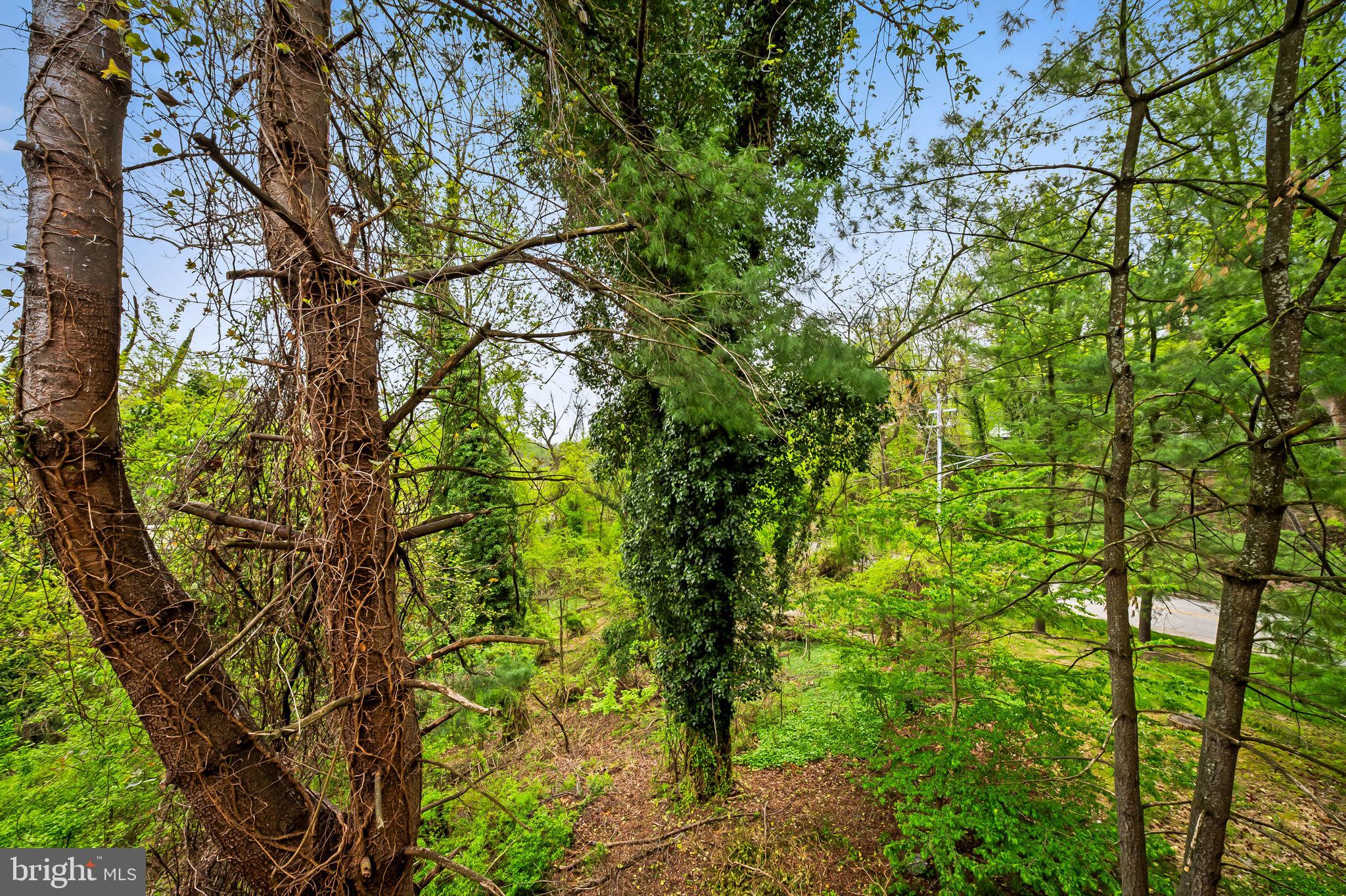 MOUNT WASHINGTON - Residential