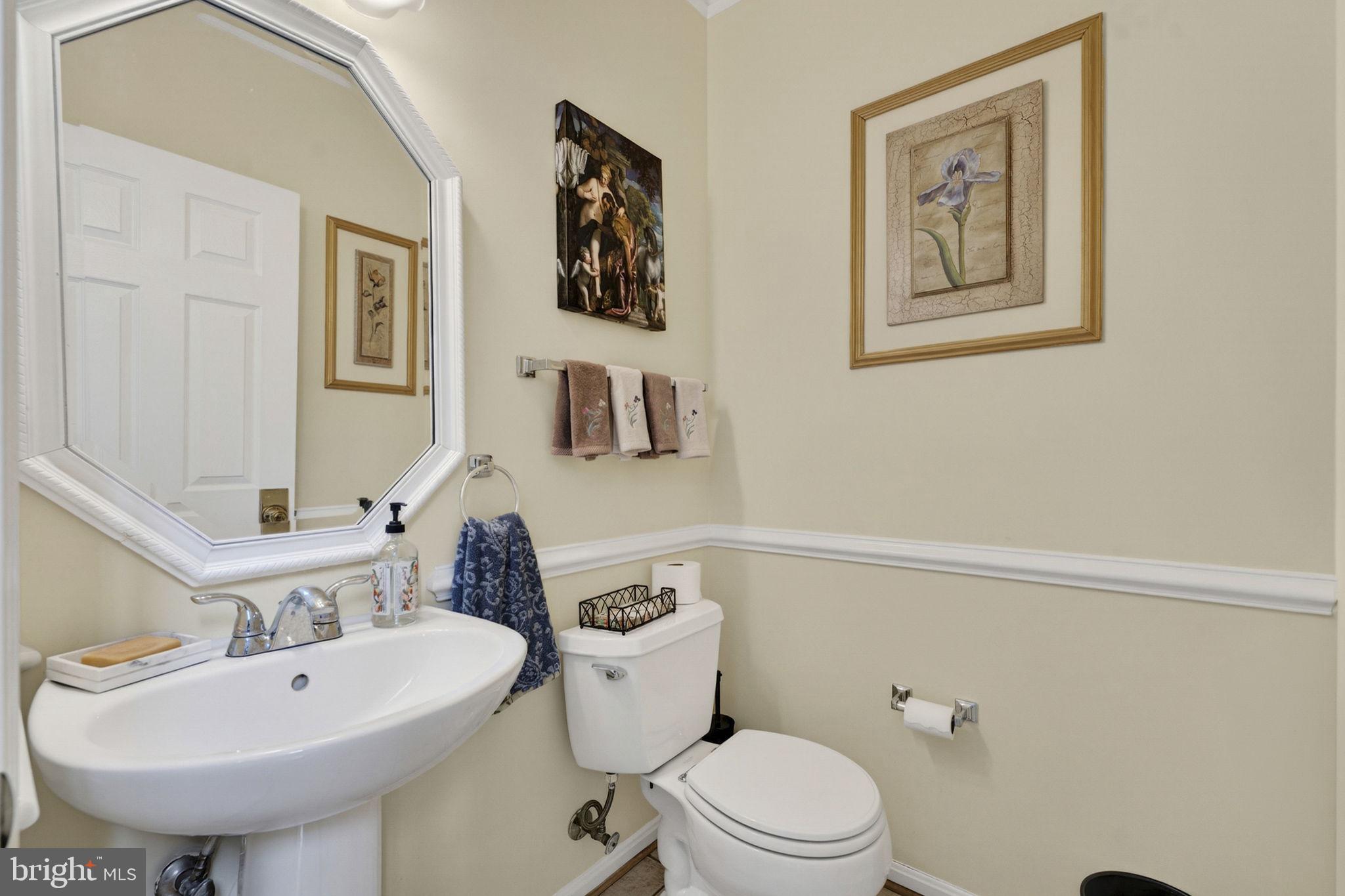 GREAT FALLS CHASE - Residential