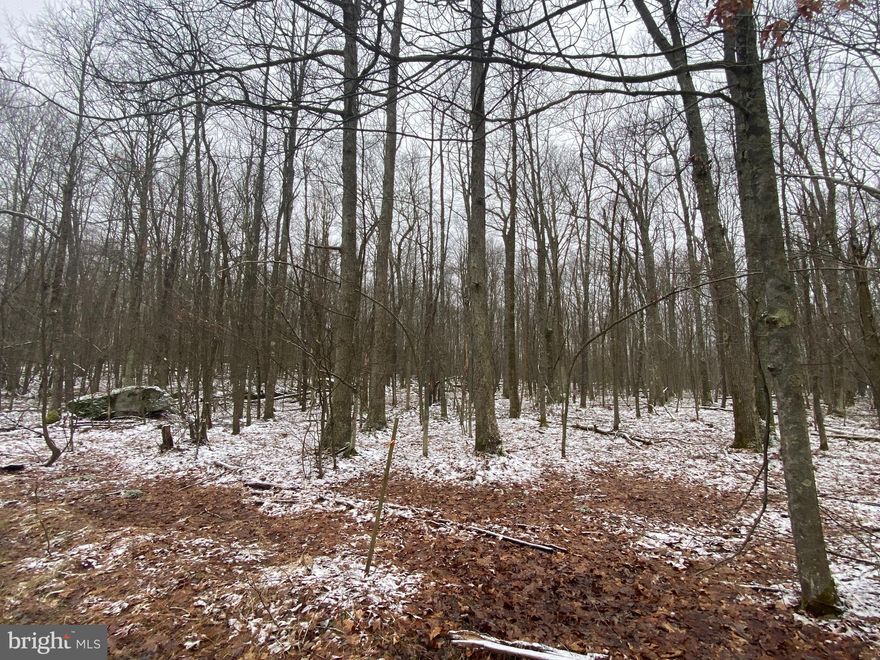 Rare double lot opportunity in the gated community of the Yough!  This is your chance  to get TWO  lots right next to each other for just over one acre of land in the Youghiogheny Mountain Resort. This could make a great homesite for a primary residence OR be the perfect location for your vacation get-a-way home OR a friend/family compound building right next to one another. The Yough Mountain Resort community is close to Deep Creek Lake, Wisp, Swallow Falls, Herrington Manor Park, and so much more,. Plus this community has it's own private hunting and fishing areas, over 50 miles of ATV/snowmobile trails, playground, sport courts, pavilion and more than 2,000 acres of green space! Includes lots 23 & 24 tax ID 1206012558  & 1206022391. Lot 23 is .62 acres and Lot 24 is .60 acres  for a total of just over an acre at 1.22 acres.