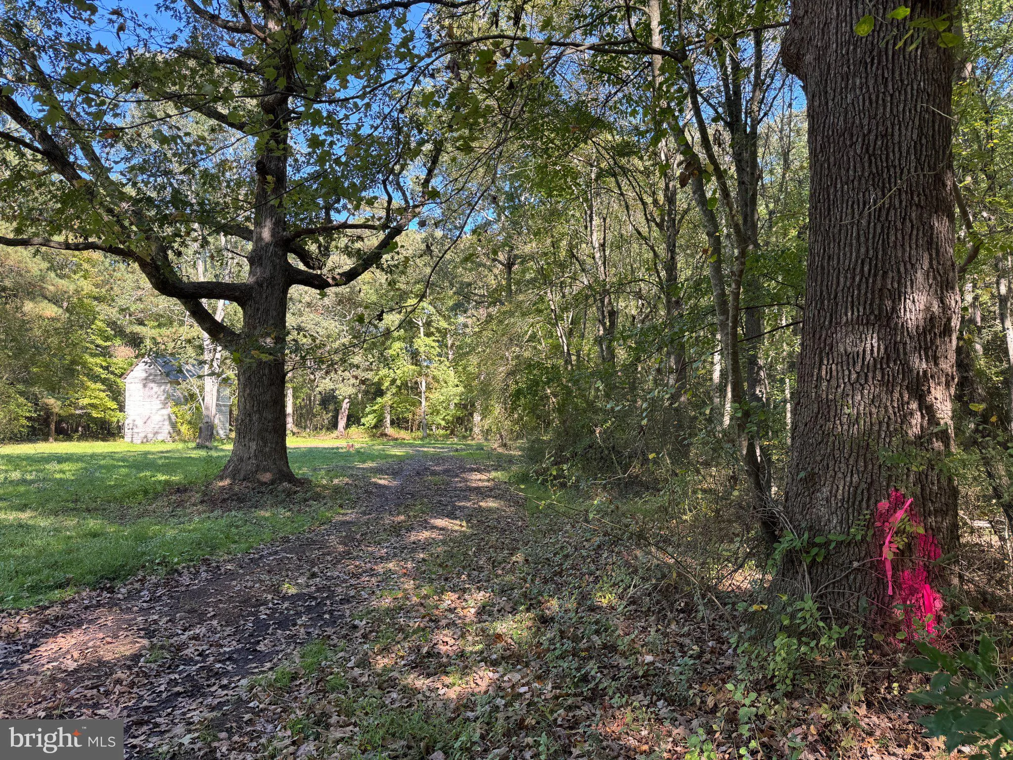 Lot 1 C Road