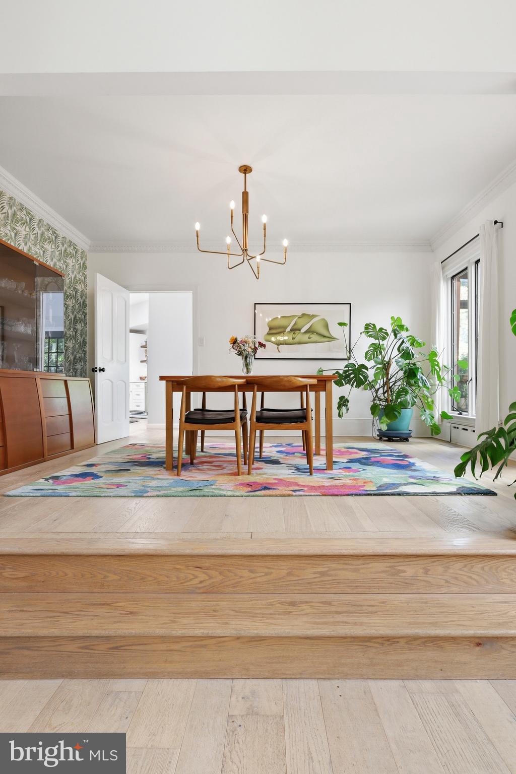 CHESTNUT HILL - Residential