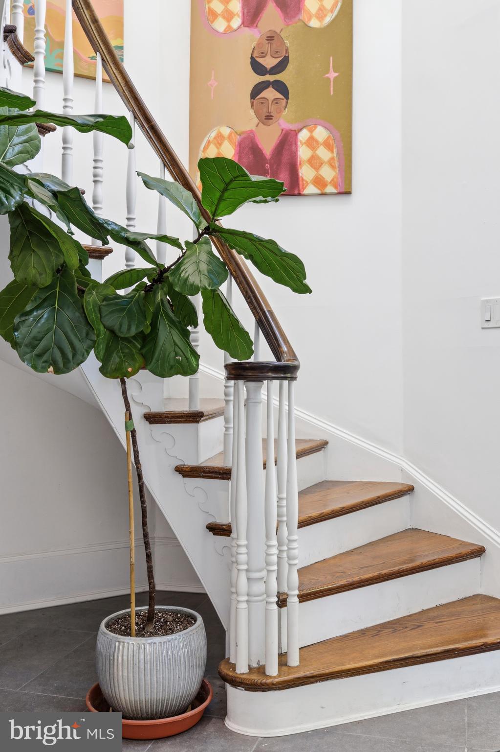 CHESTNUT HILL - Residential