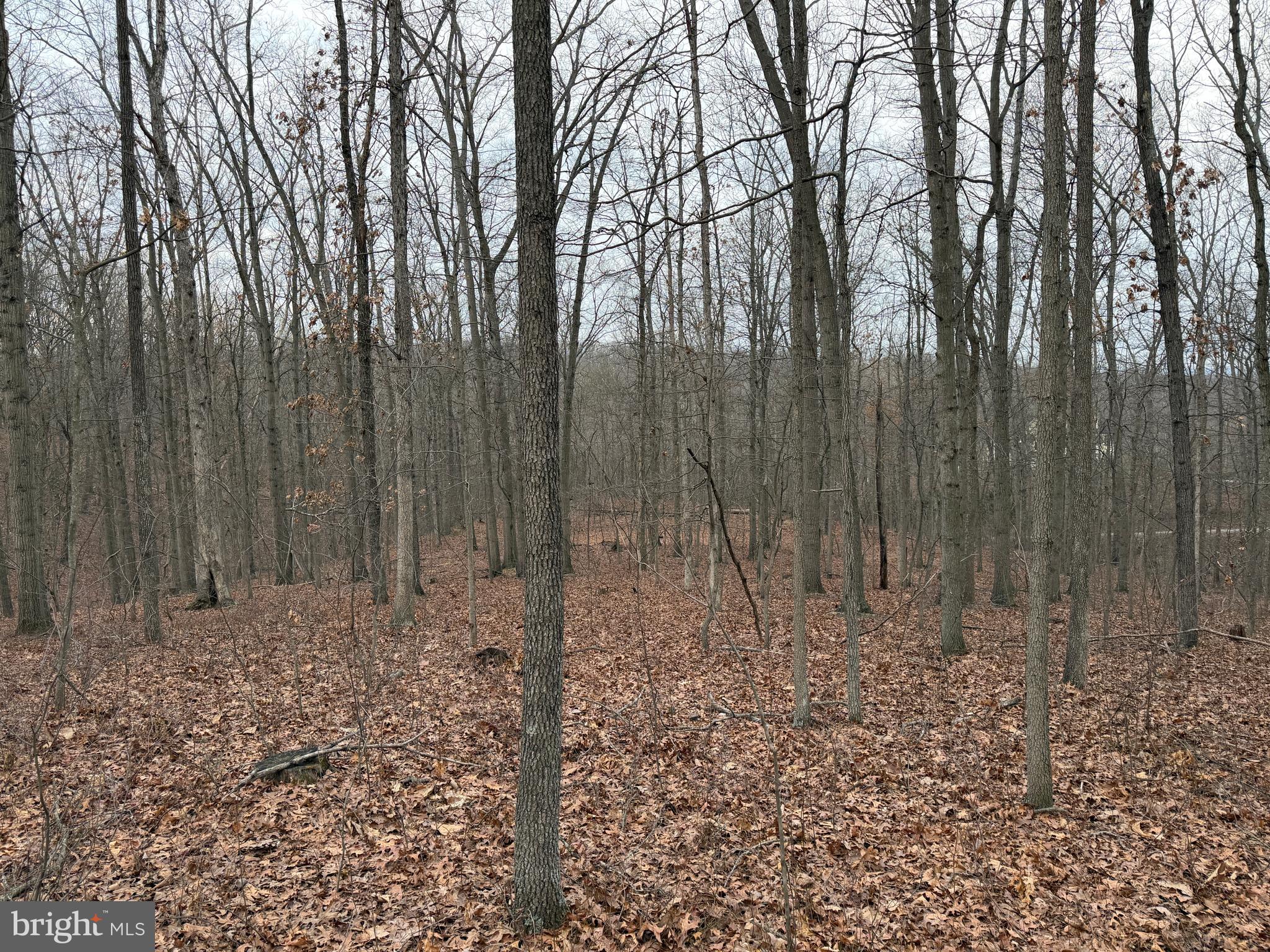 HAWKS NEST - Residential